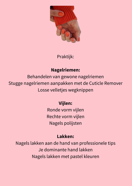 ONLINE cursus 'Lakken met Sophie'