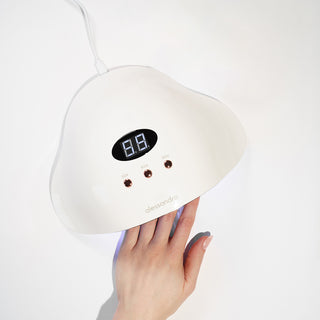 SBS (6) 1200x1200.jpg__PID:9eea9301-826b-46cc-b831-d4631d617ea8